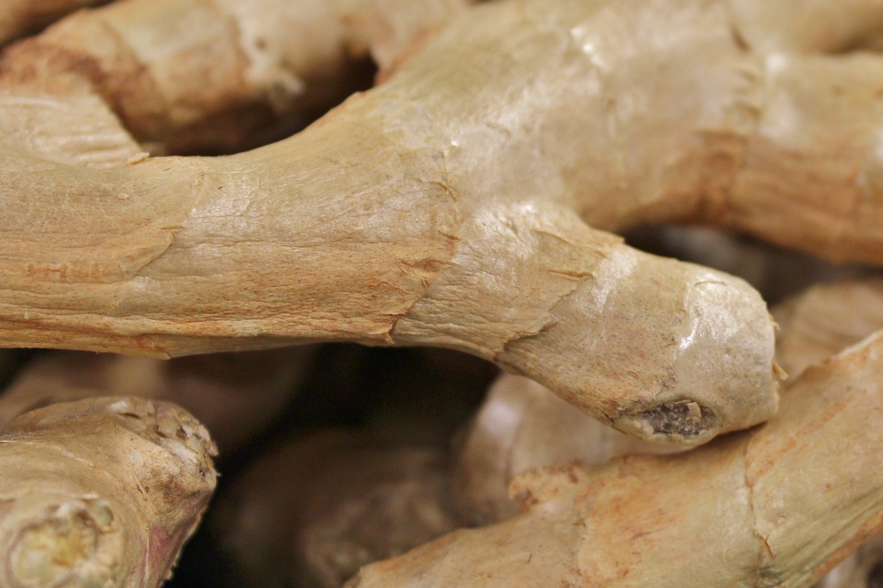 ginger tuber healthy free photo