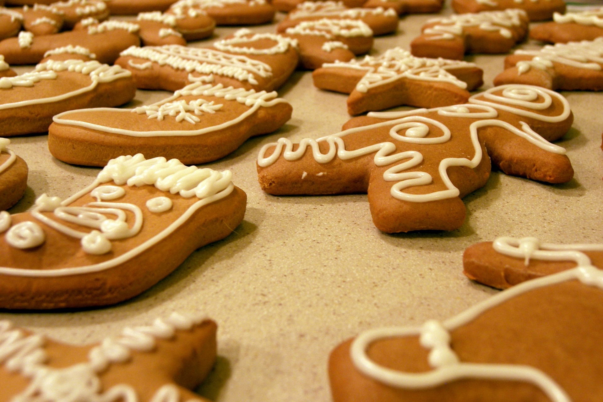 cookies gingerbread baked free photo