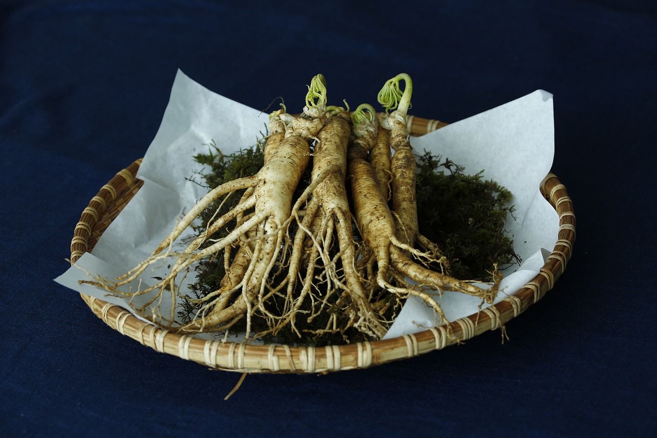 ginseng free pictures  free photos free photo