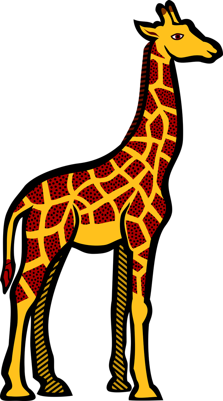giraffe animals safari free photo