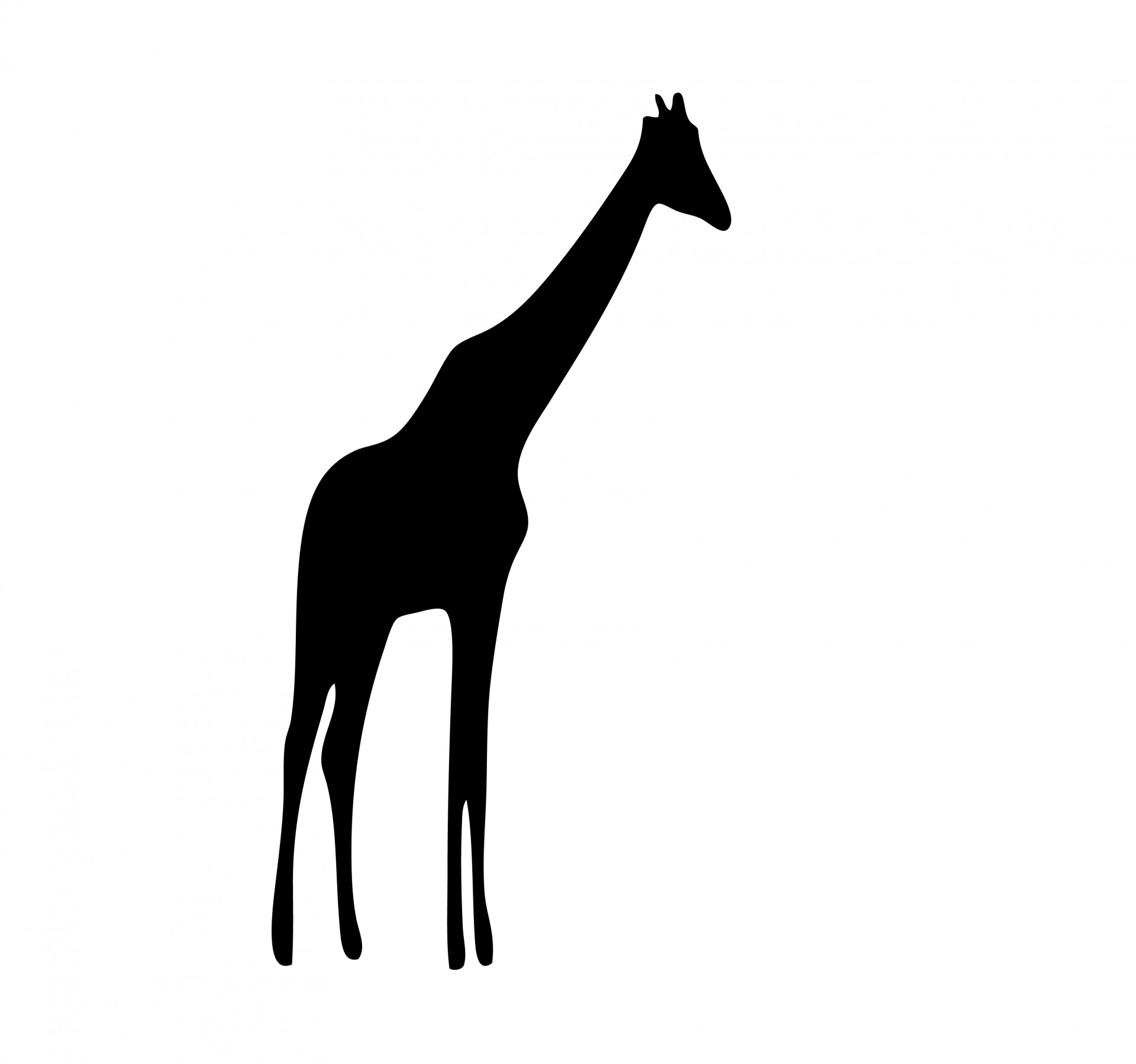 giraffe black silhouette free photo