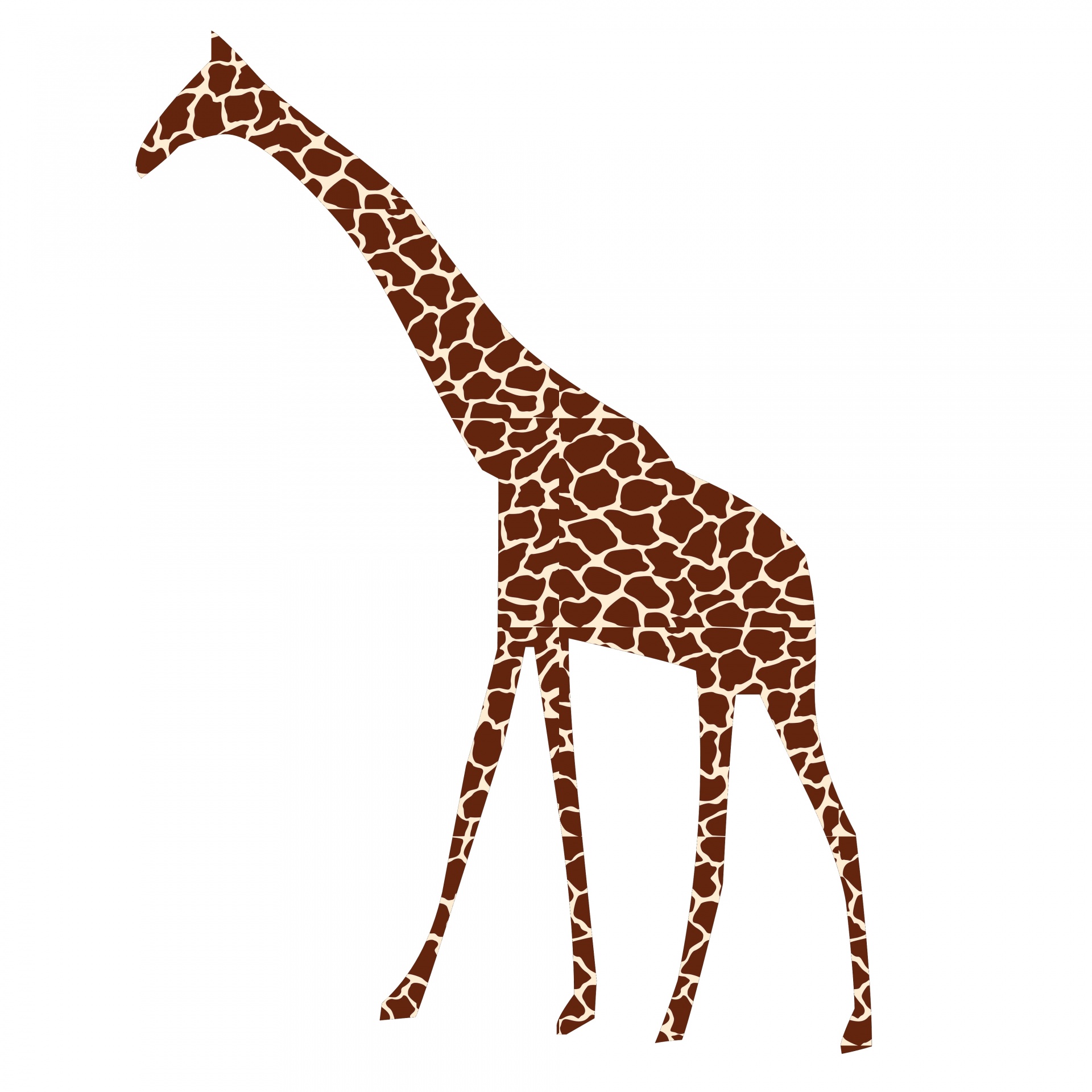 drawing giraffe animal free photo