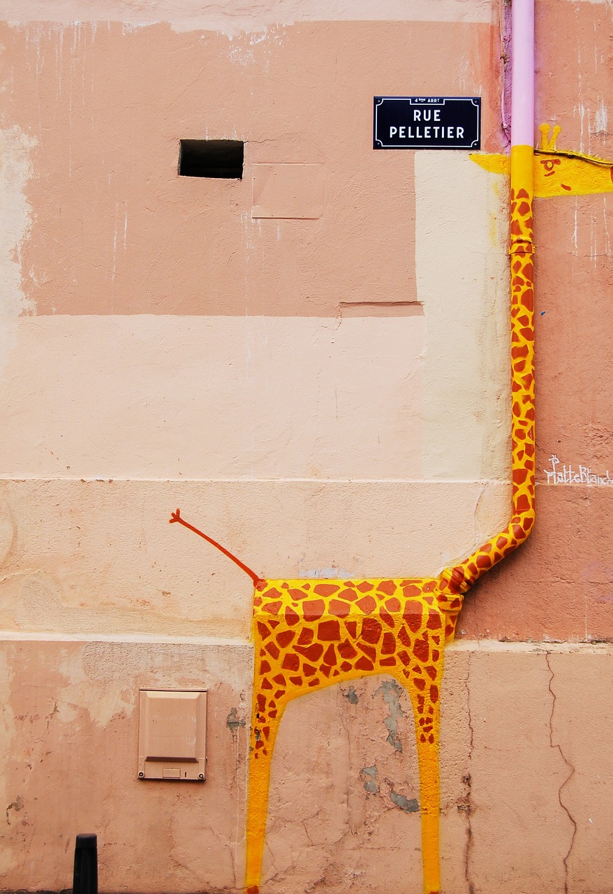 giraffe animal wall free photo