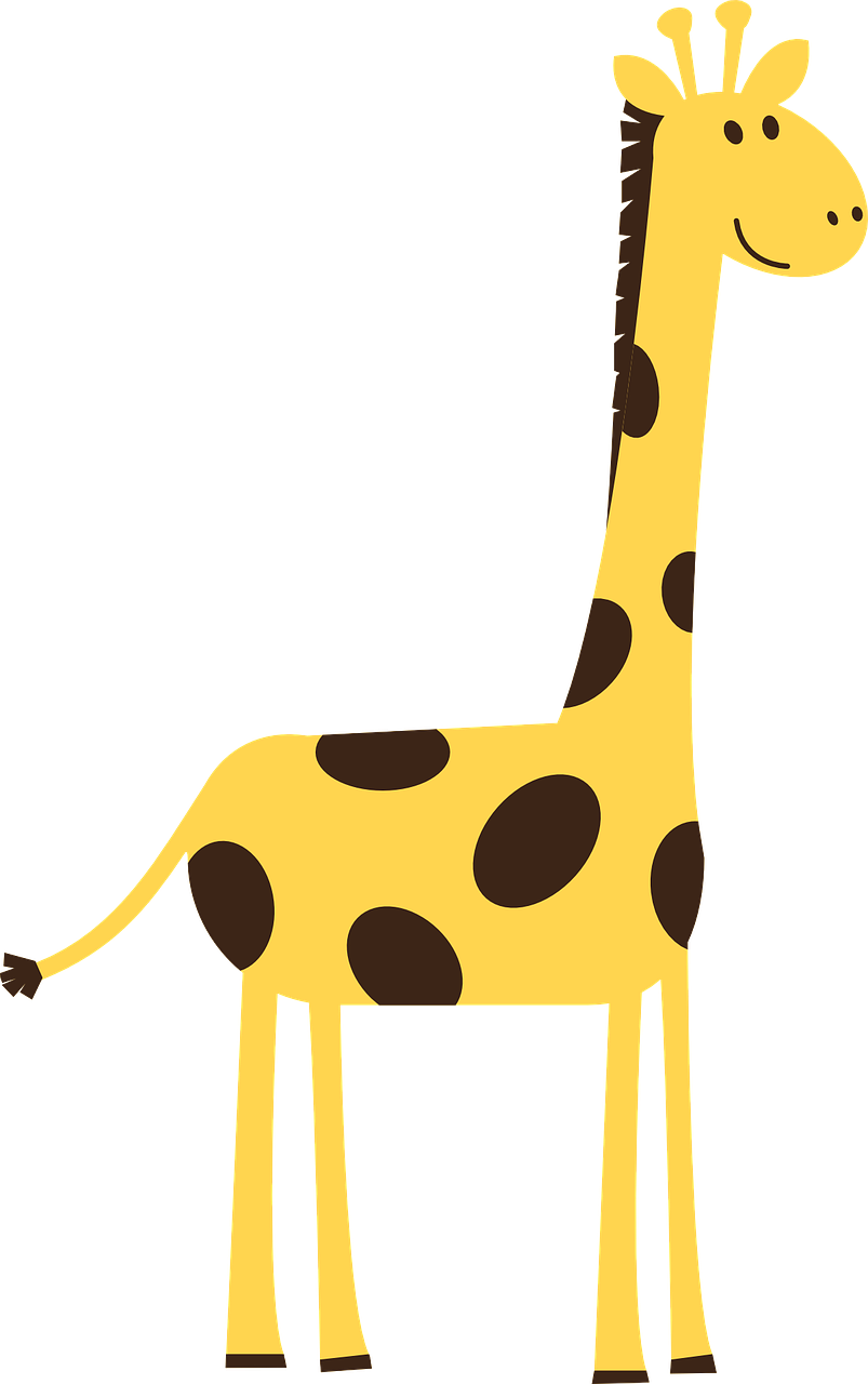 giraffe animal wild free photo