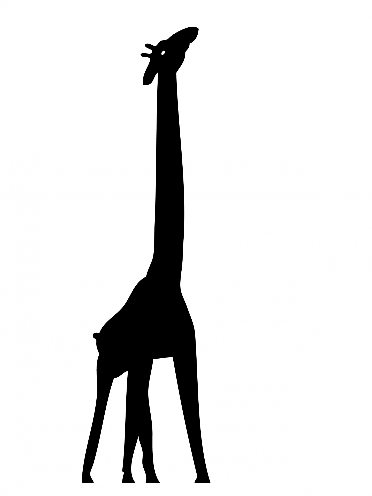 giraffe animal black free photo