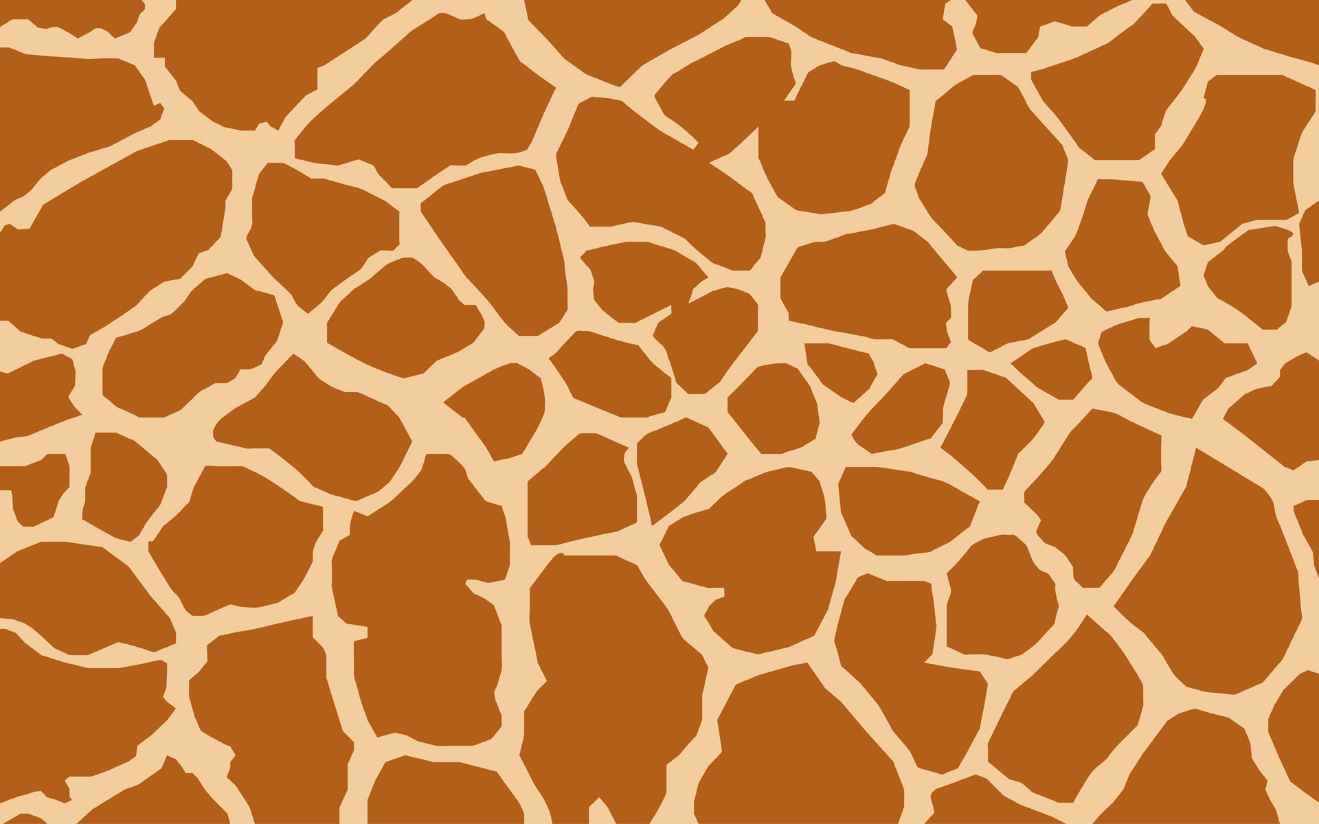 giraffe skin giraffe skin free photo