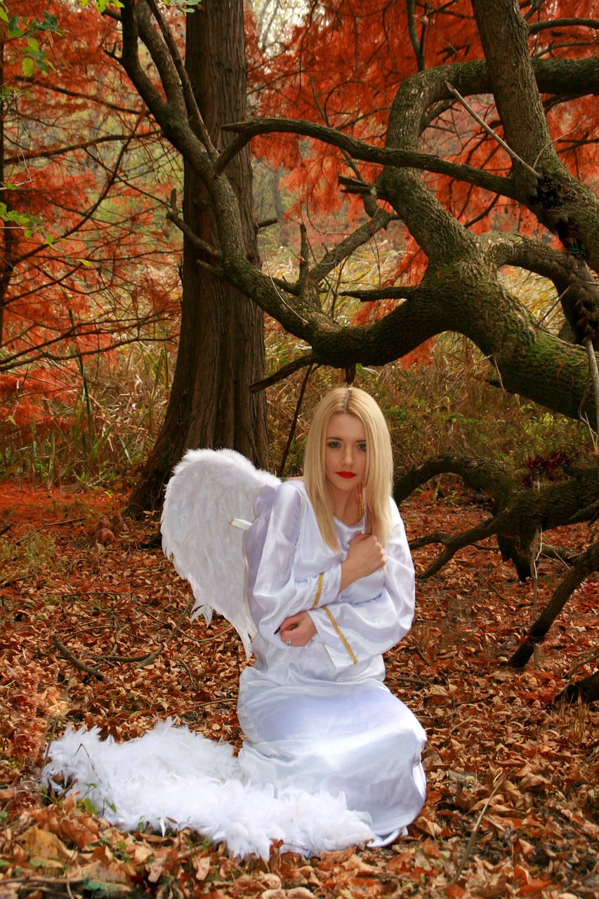 girl angel autumn free photo
