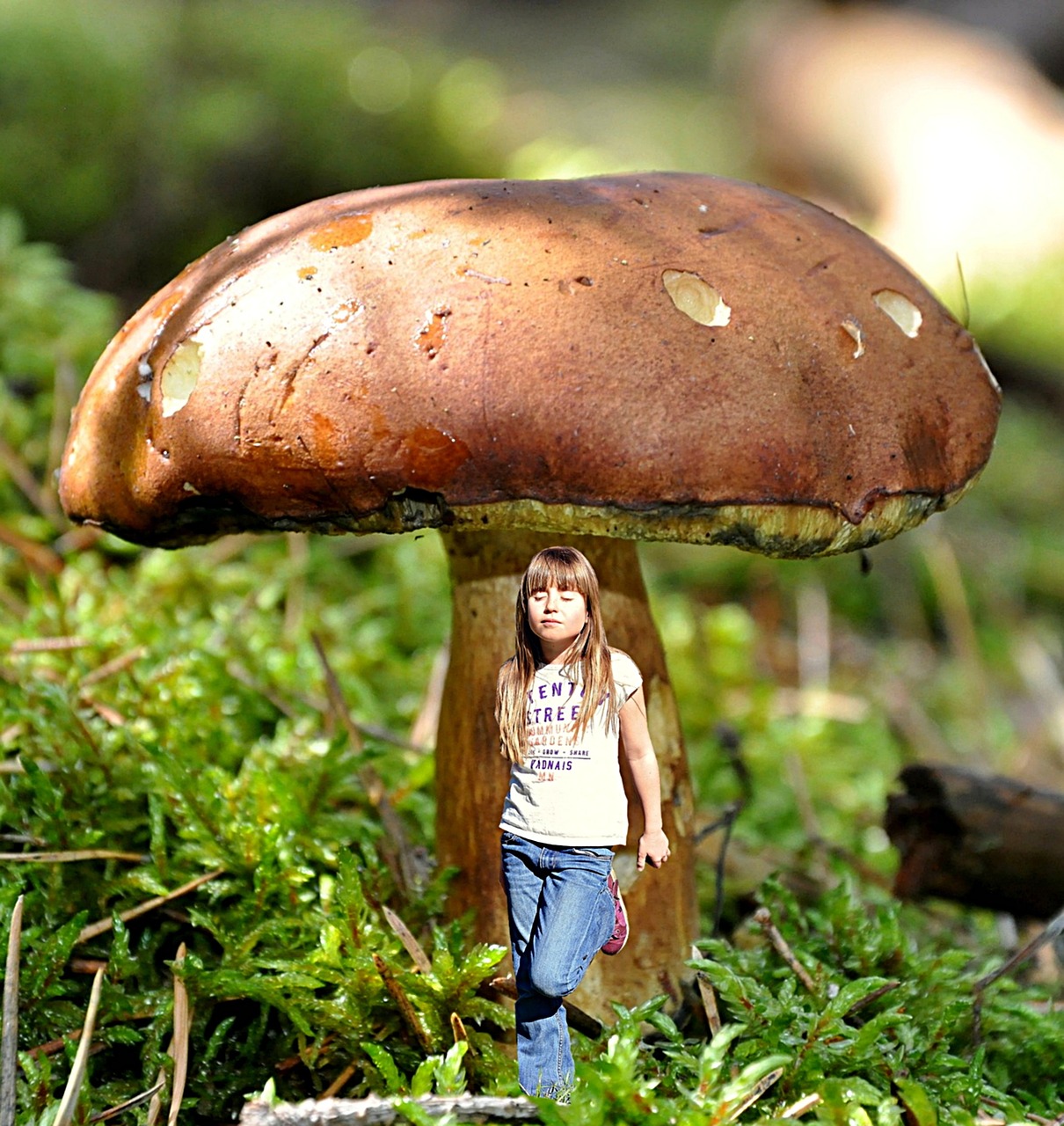 girl mushroom dreams free photo