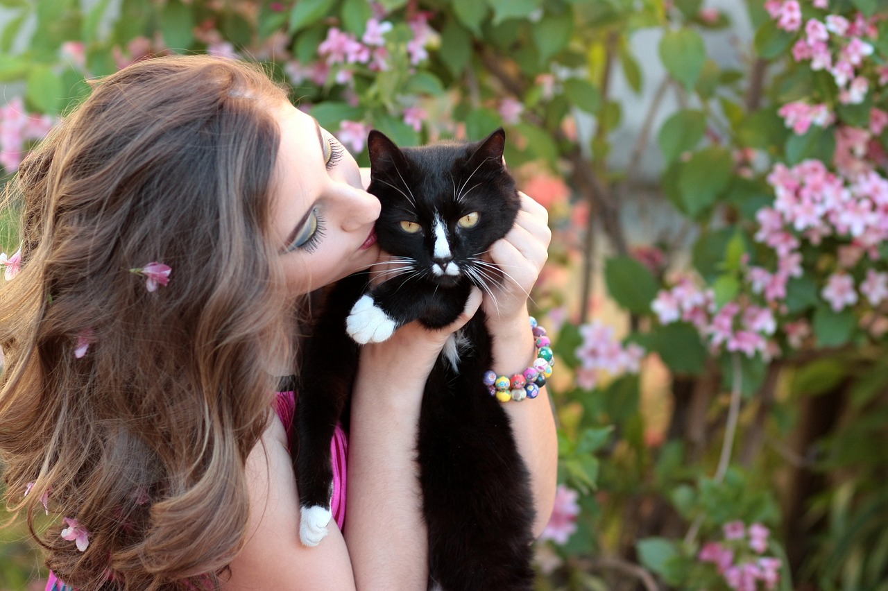 girl cat love free photo