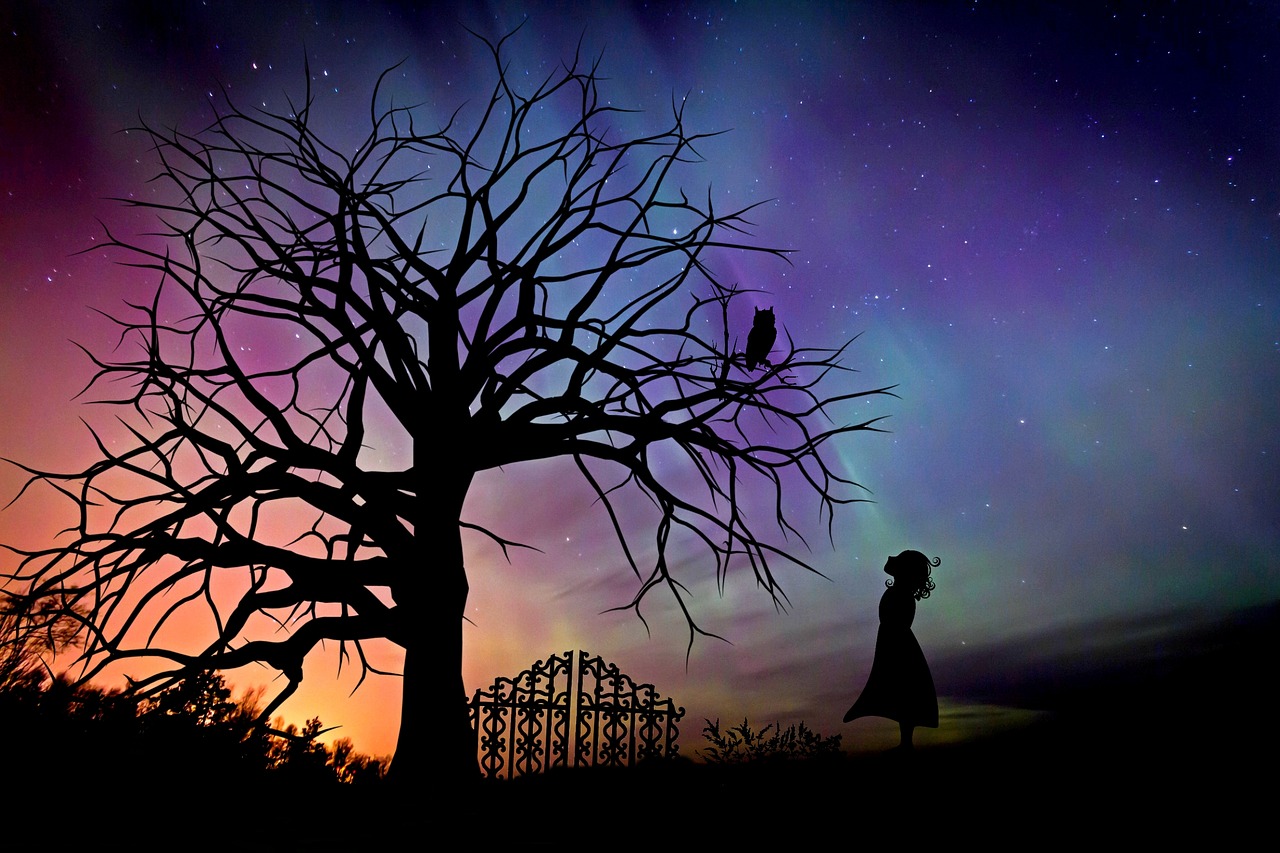 girl starry sky evening sky free photo