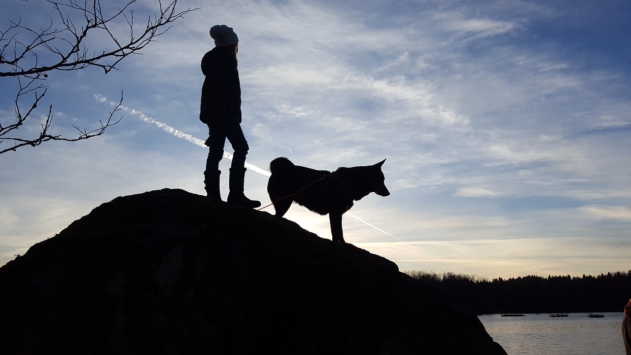 girl dog backlight free photo