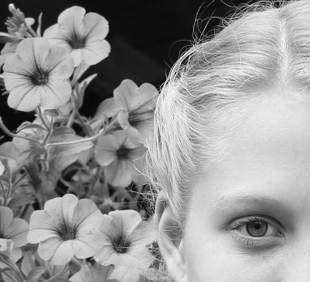 girl flowers face free photo