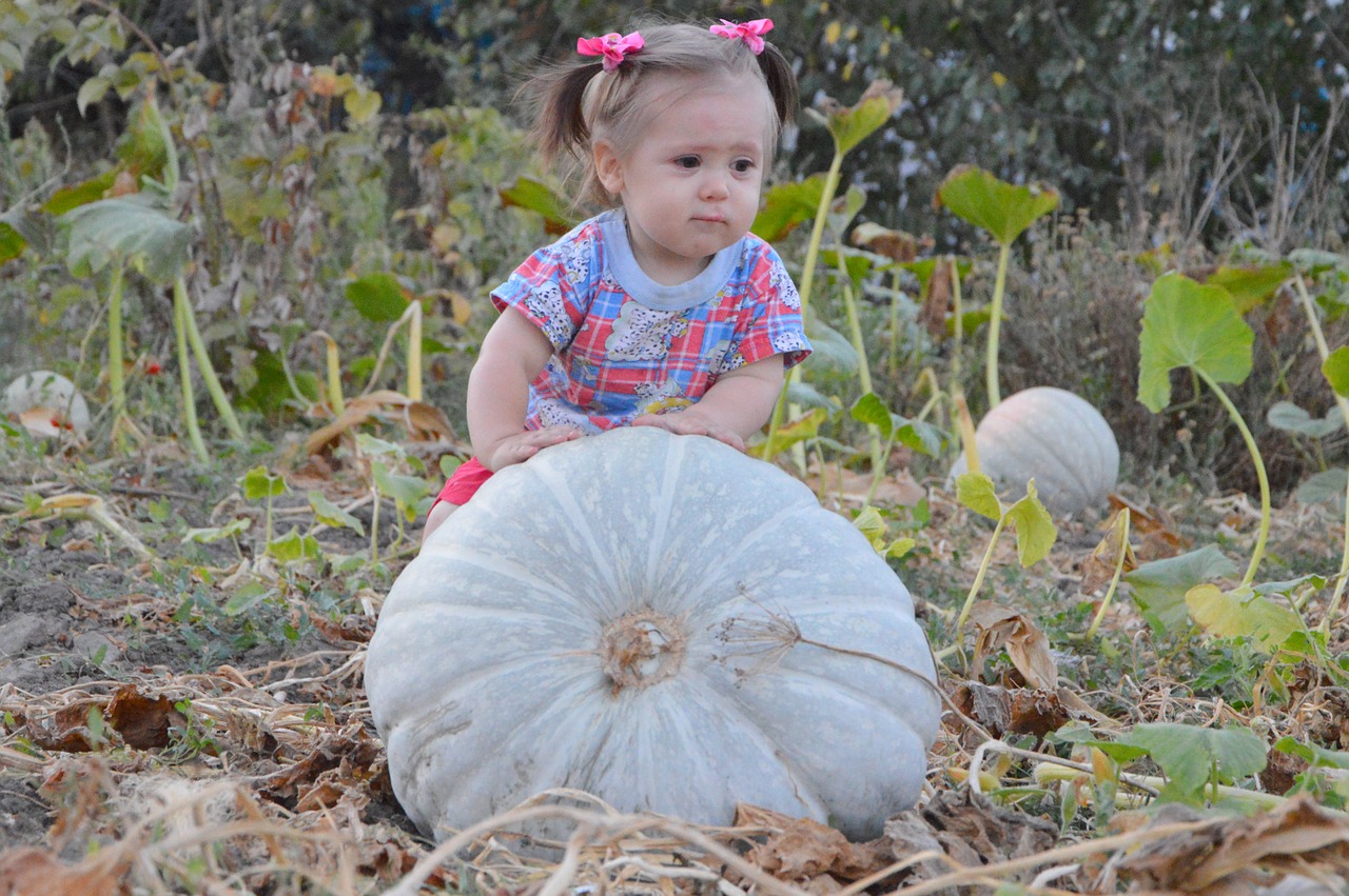 girl baby harvest free photo