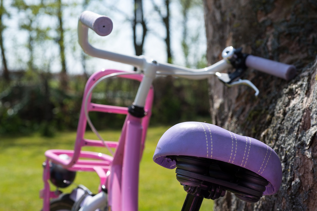 girl bike pink free photo