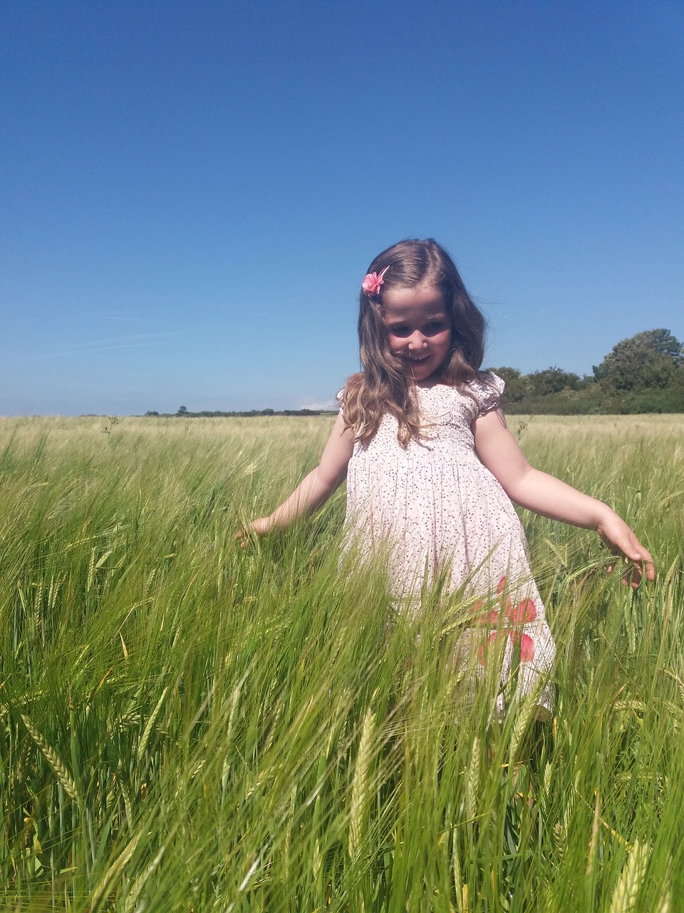 girl wheat field free photo