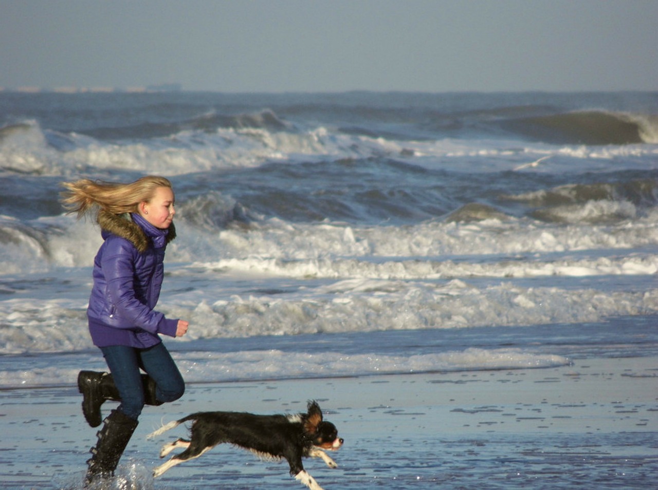 girl dog sea free photo