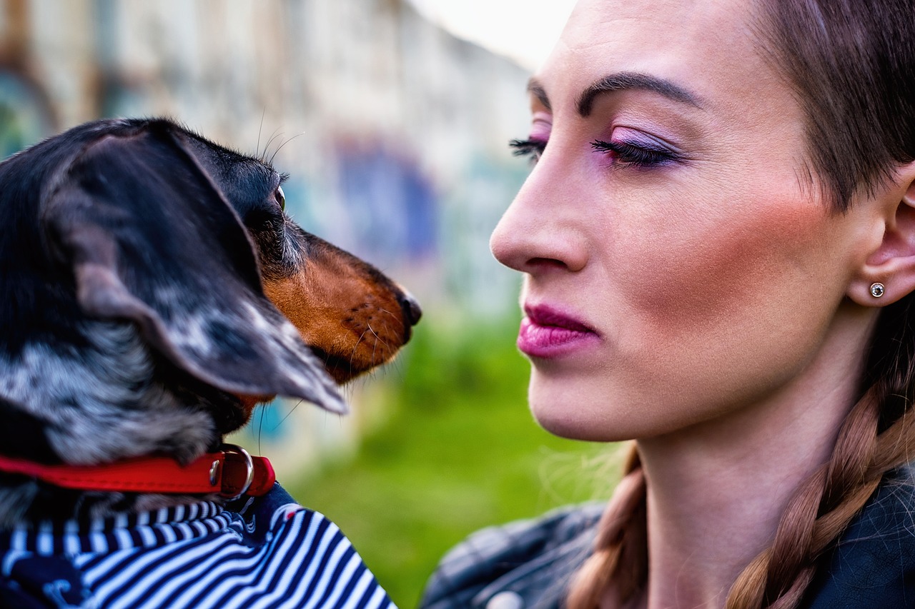 girl dog dachshund free photo