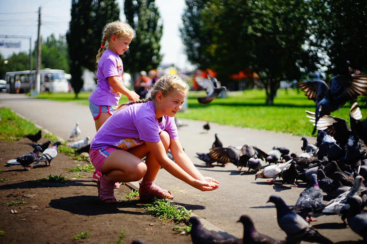 girl baby small child free photo