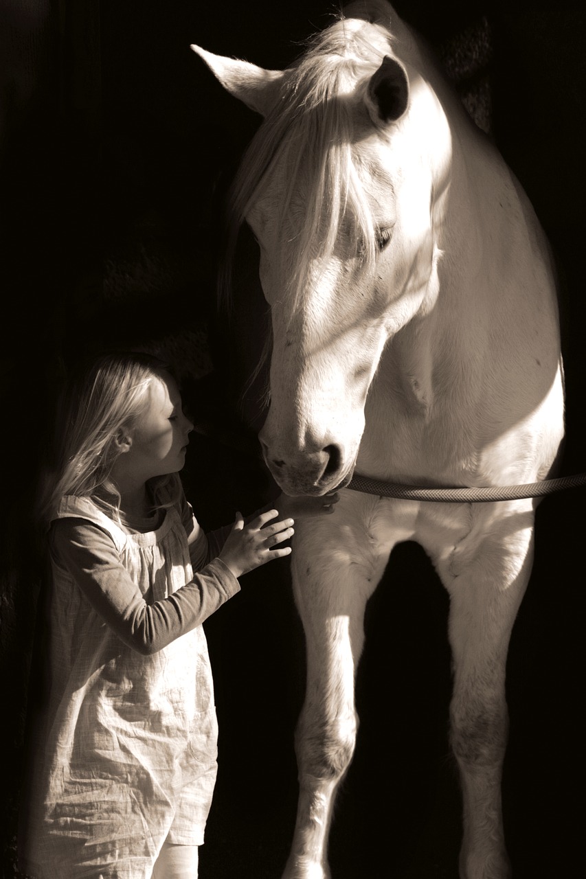 girl horse black free photo