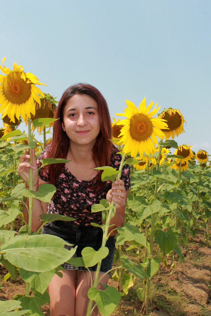 girl yellow sunflower free photo