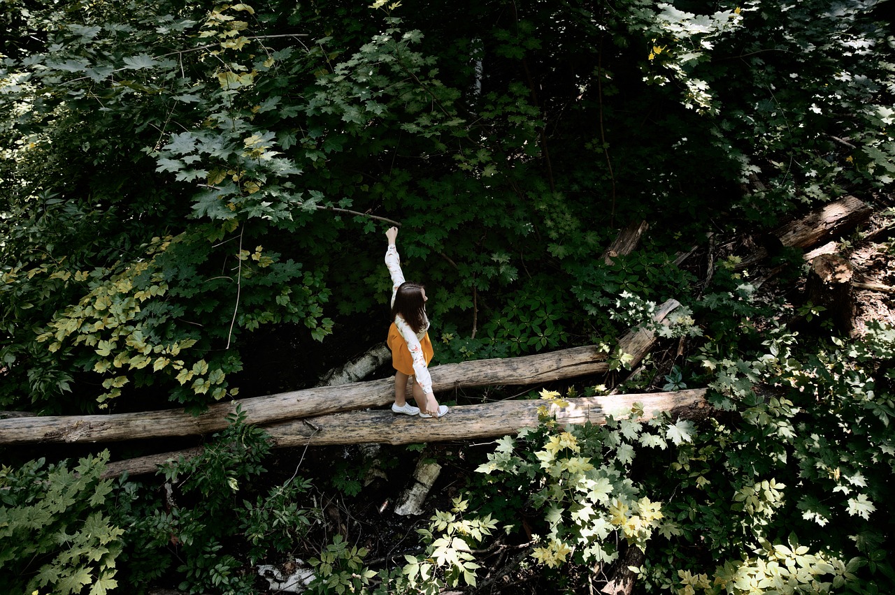 girl balance beam stroll free photo