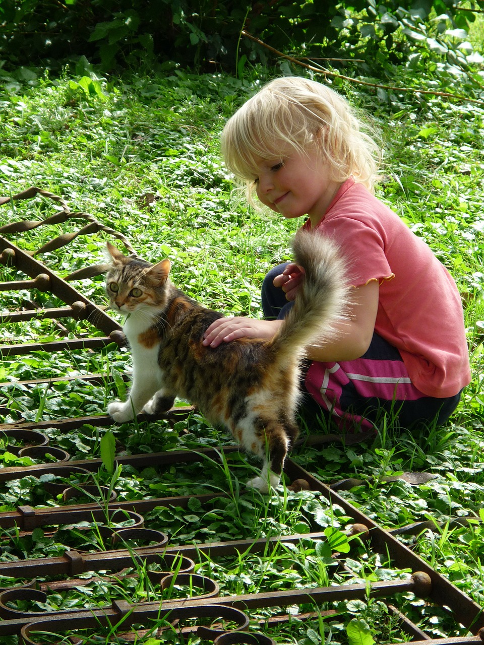 girl child cat free photo