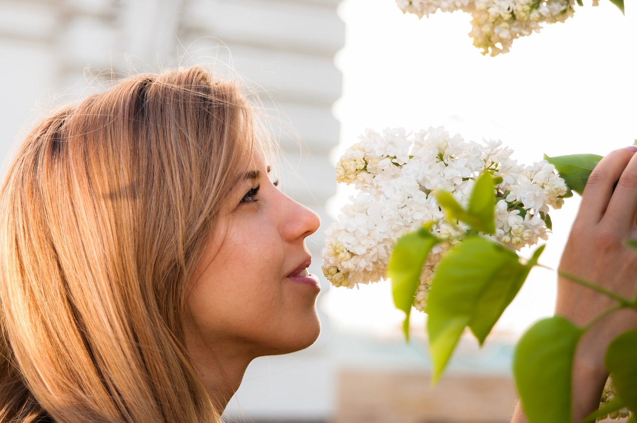 girl  flowers  sun free photo