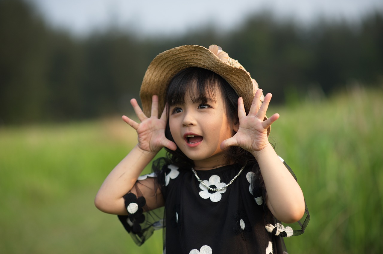 girl  child  dress free photo