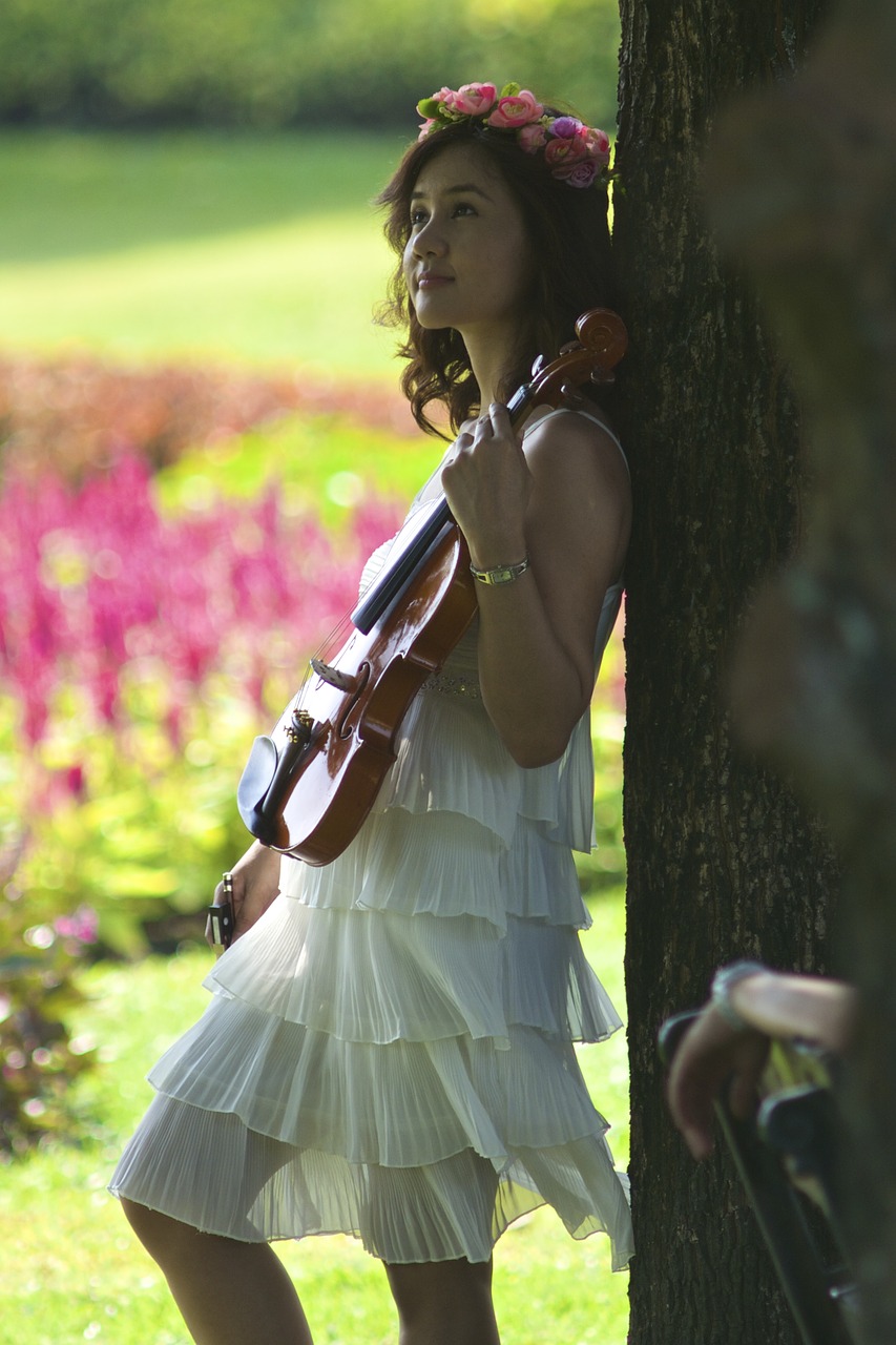 girl  violin  lady free photo