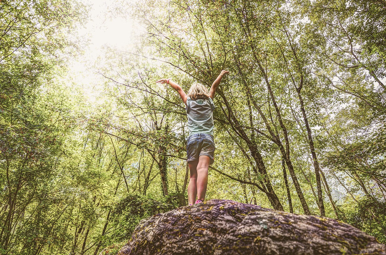 girl  stand  rock free photo