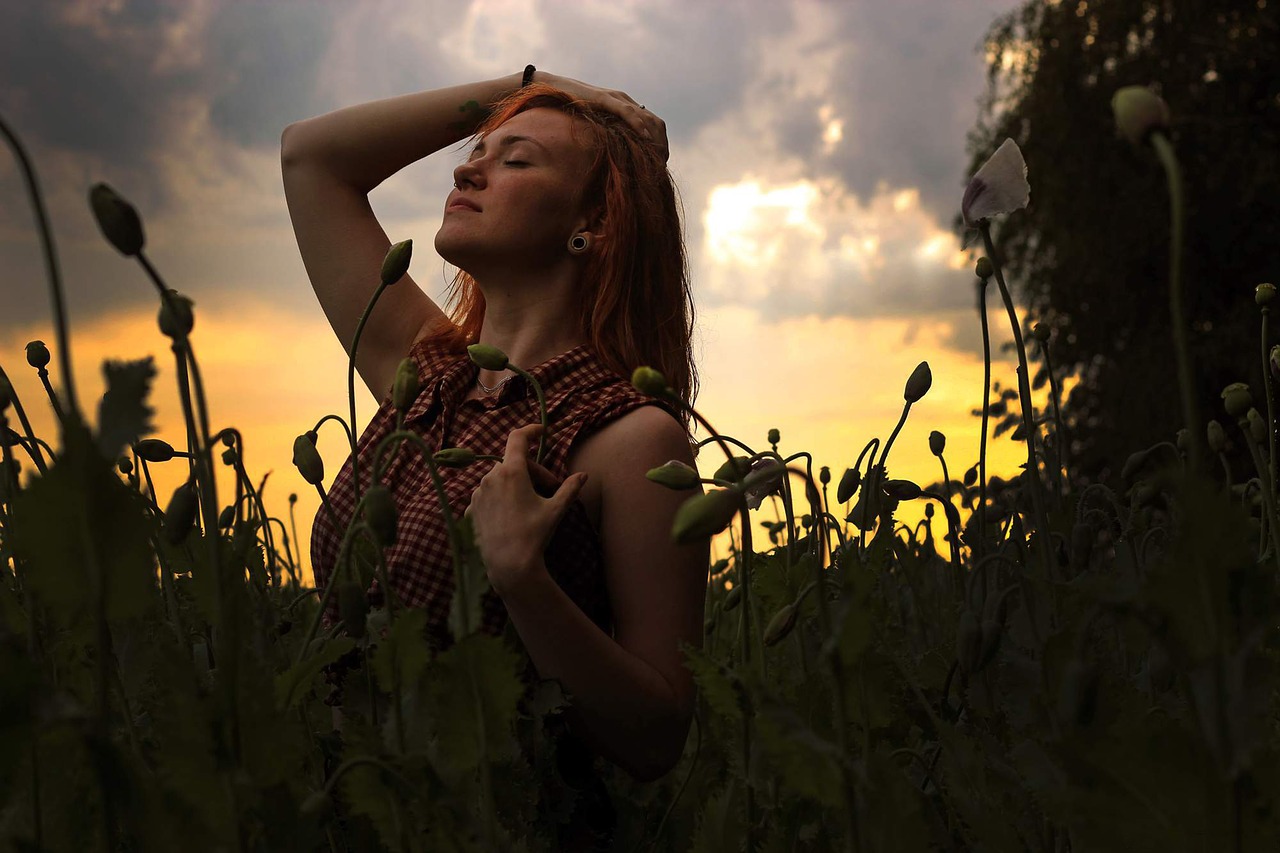 girl  poppy  sunset free photo