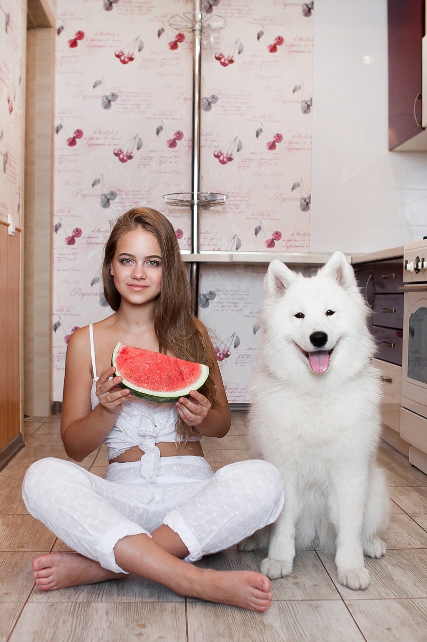 girl  dog  kitchen free photo