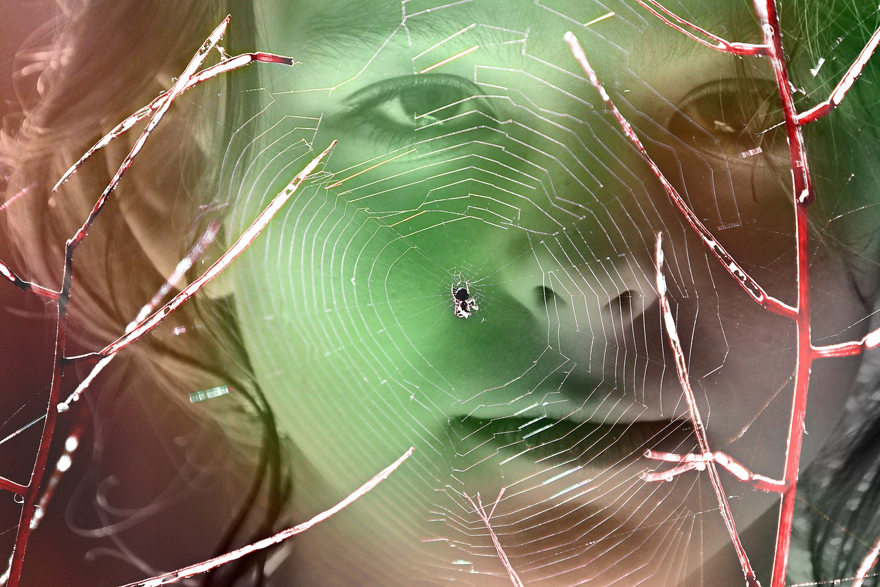 girl  face  spider web free photo