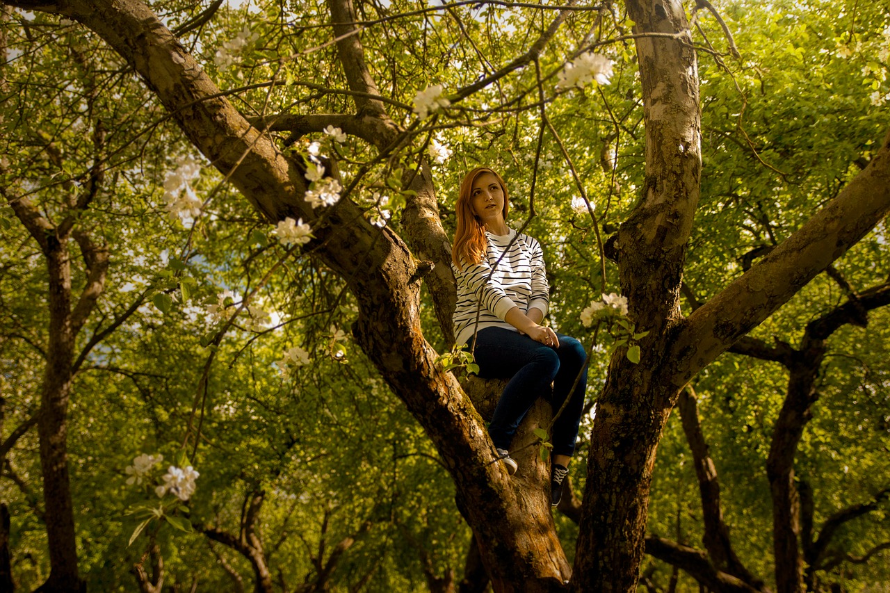 girl  garden  apple tree free photo