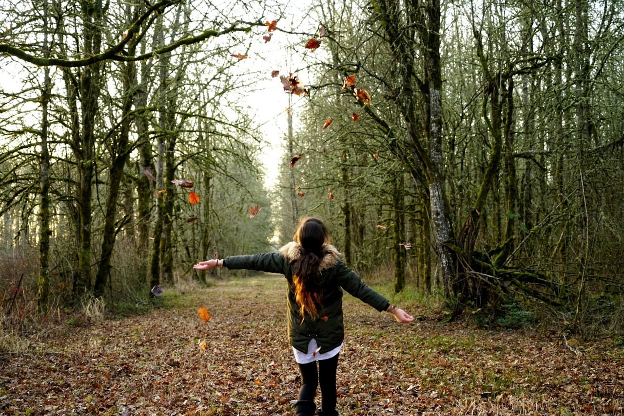 girl  leaves  cold free photo