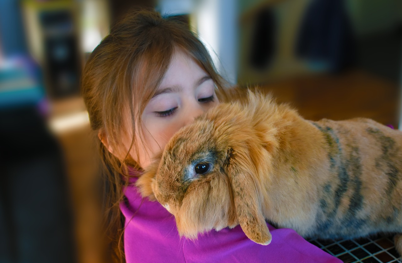 girl  rabbit  pet free photo