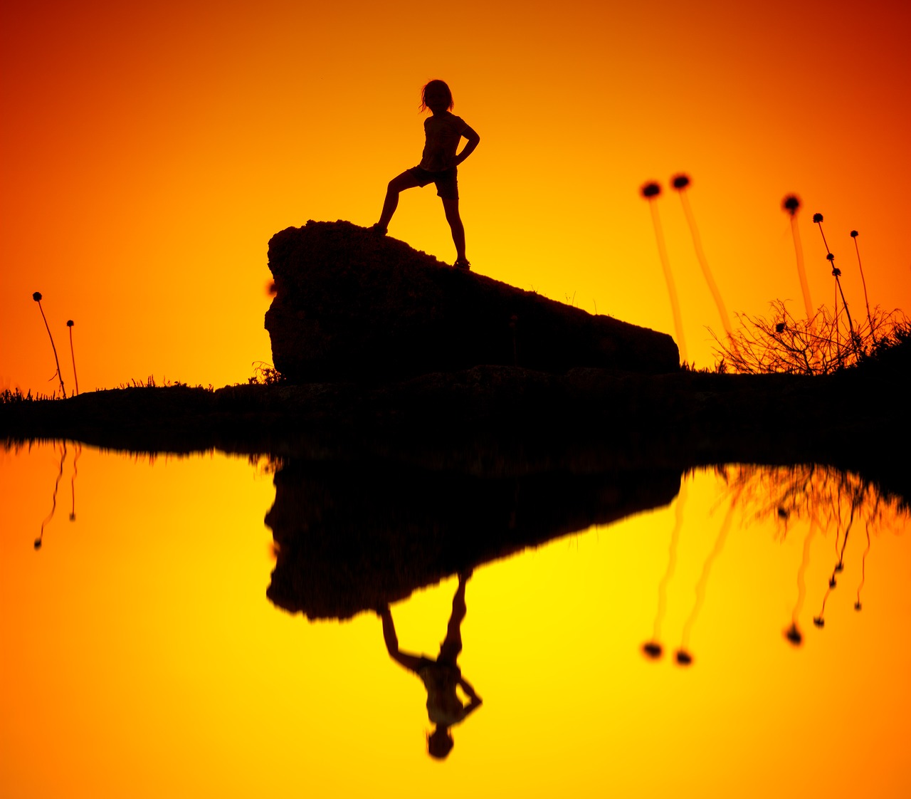 girl  silhouette  evening free photo