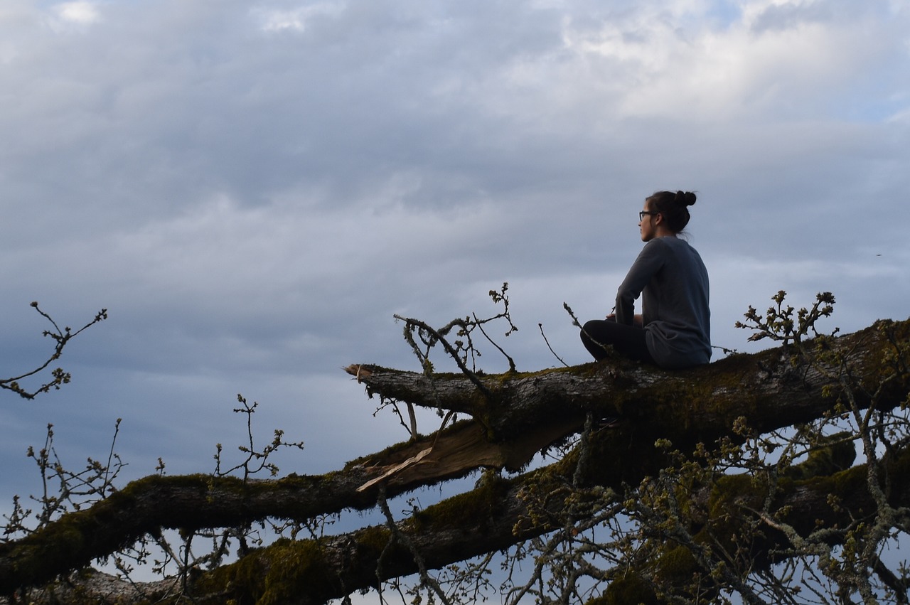 girl  tree  fell free photo