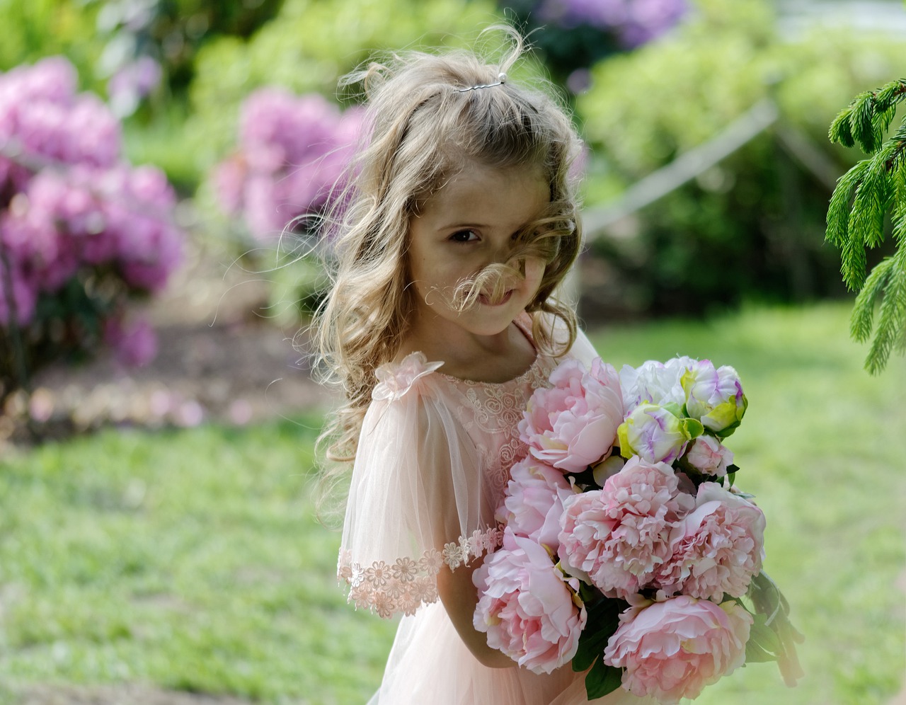 girl  small  flowers free photo