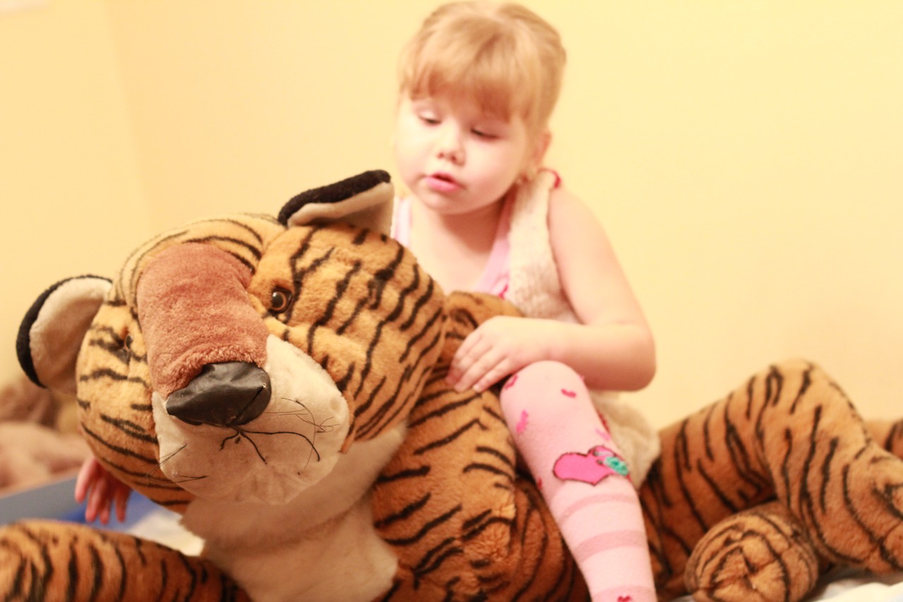 girl toy plush tiger free photo