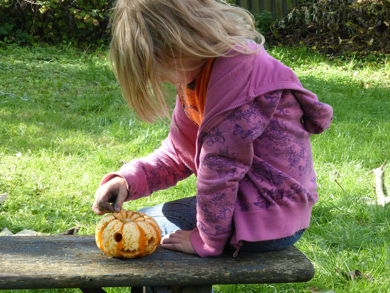 girl play pumpkin free photo