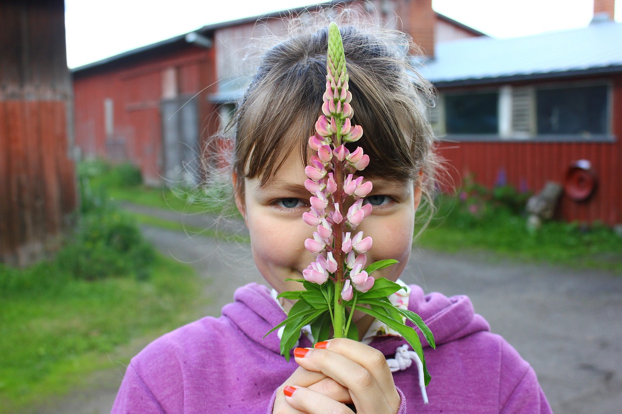 girl flower lilac flower free photo