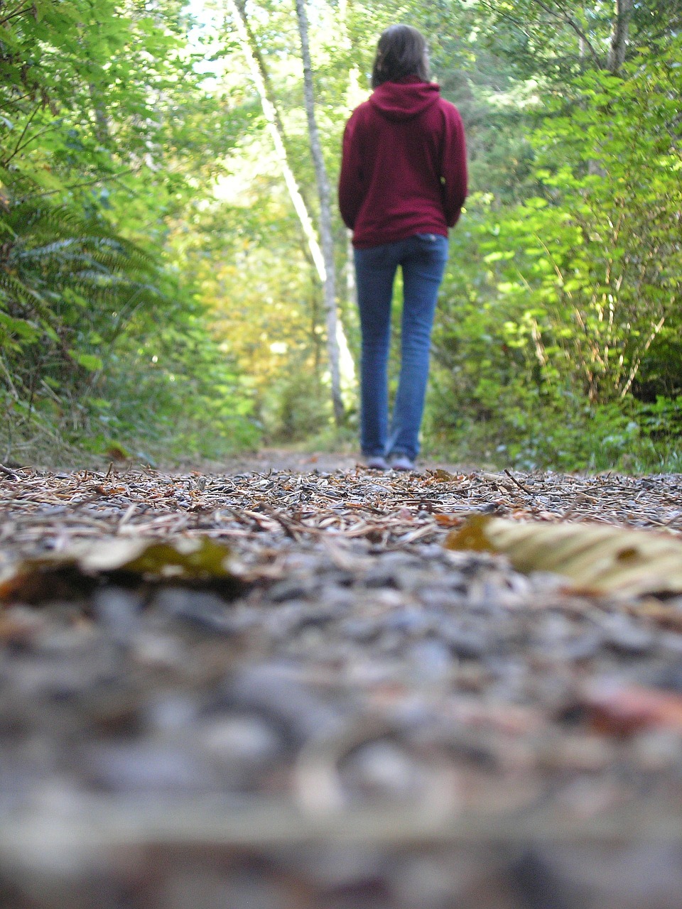 girl walking autumn free photo