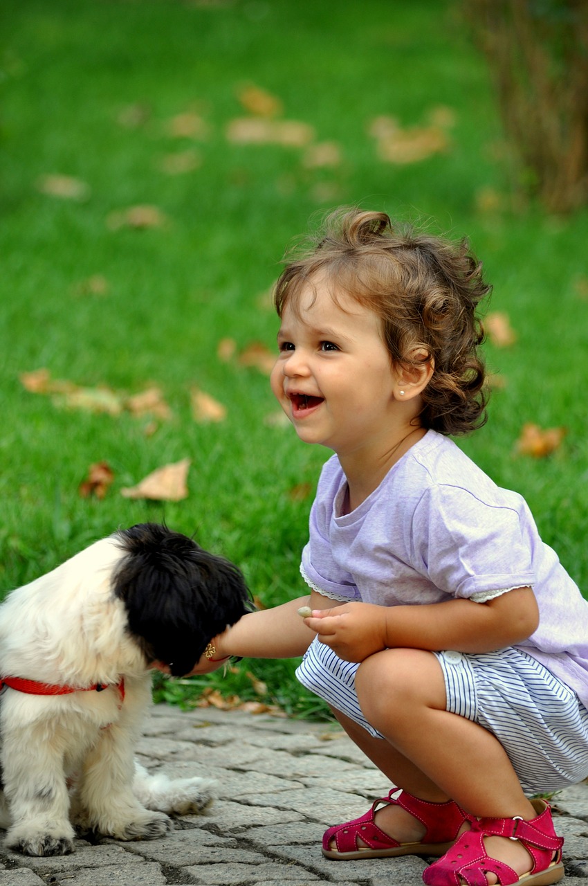 girl puppy child free photo