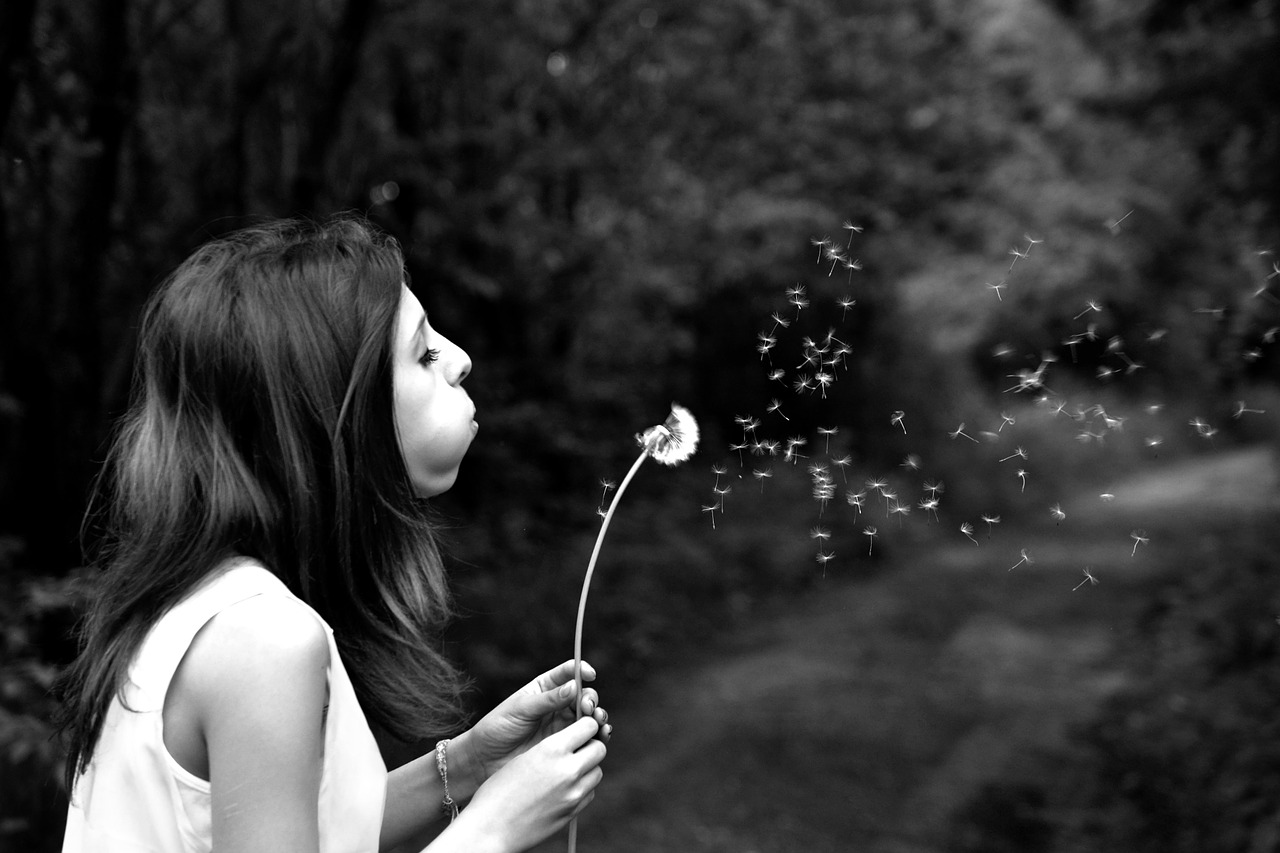 girl dandelion wish free photo