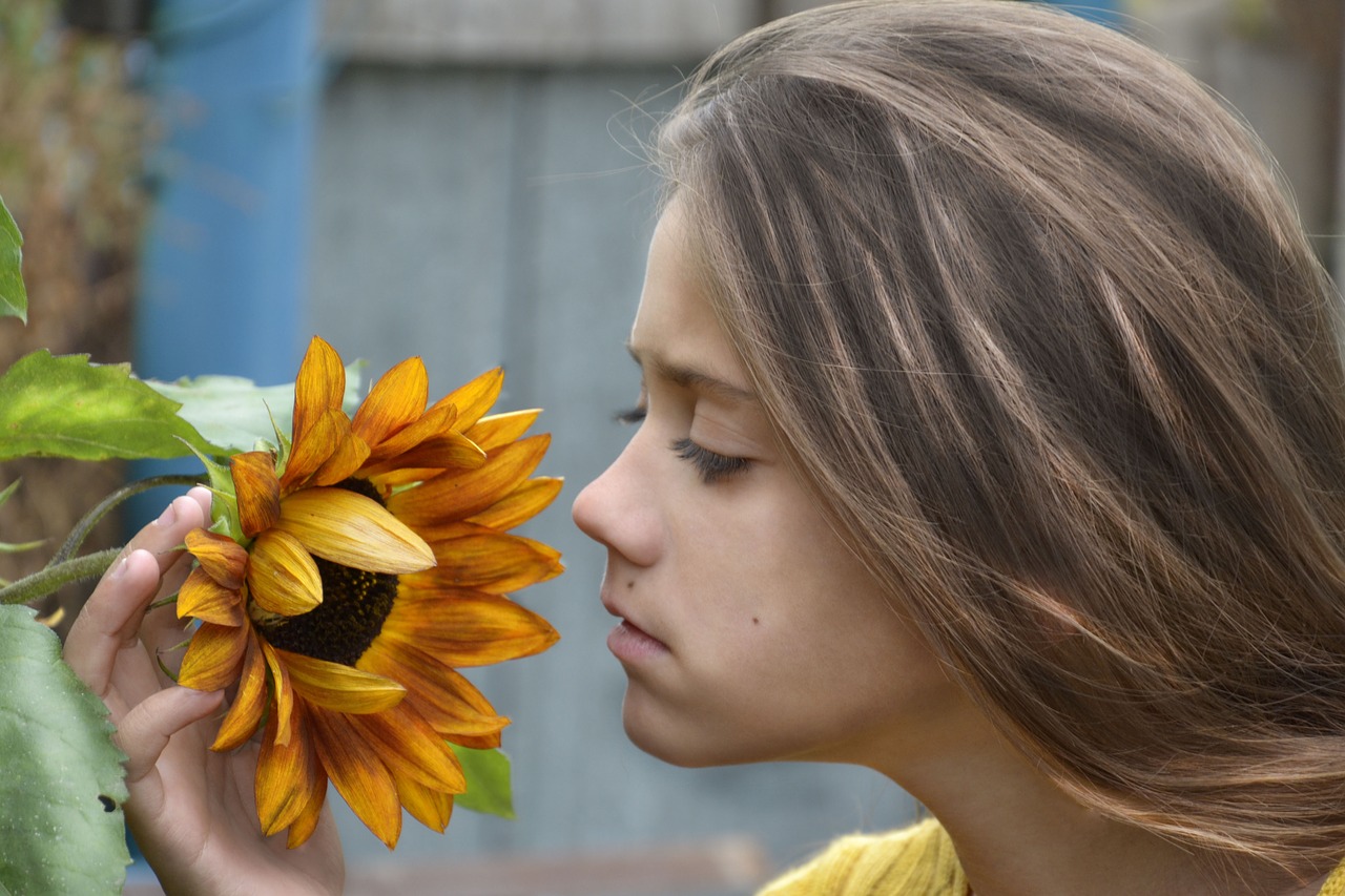 girl sunflower flower free photo