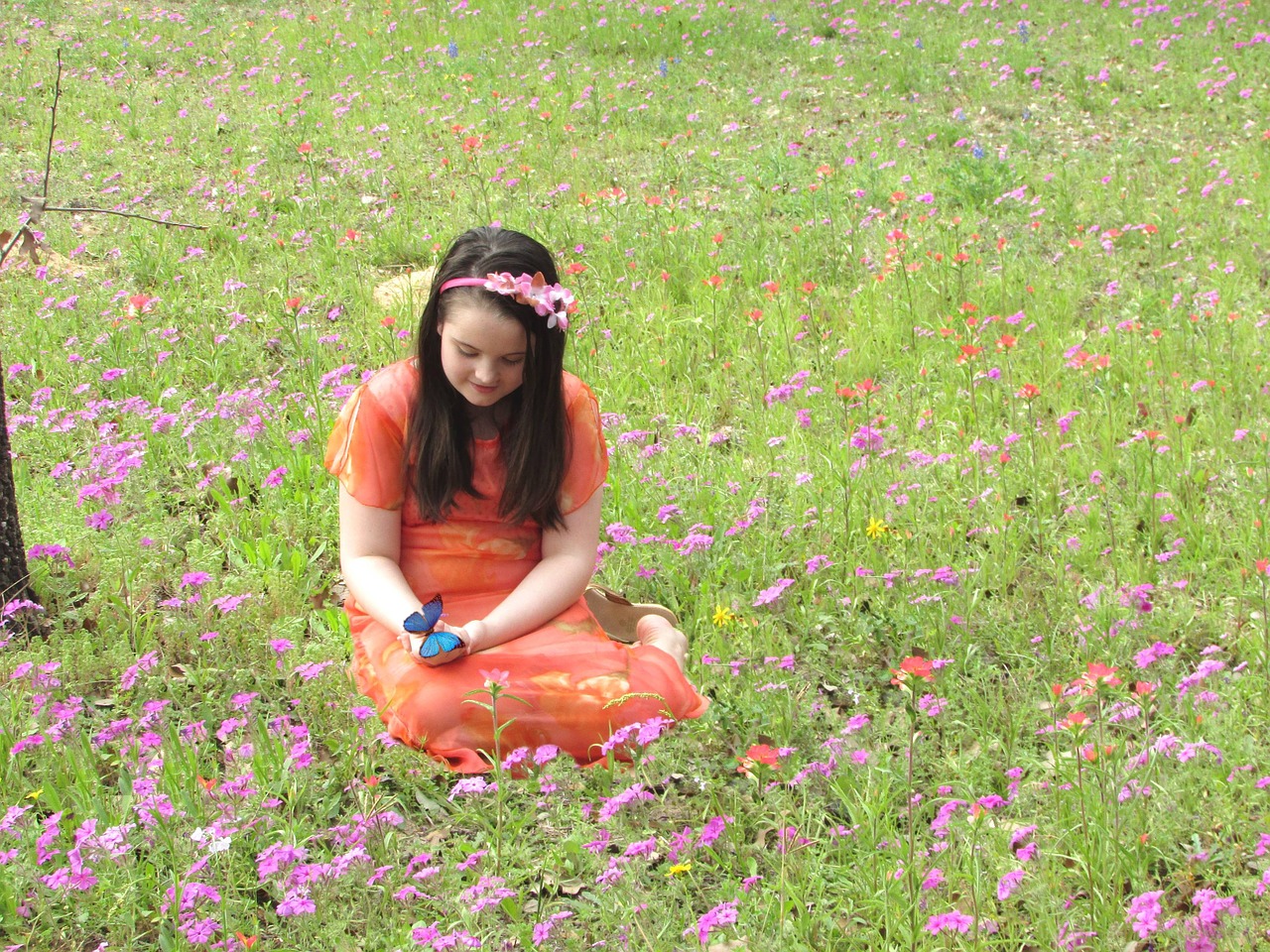 girl person flowers free photo