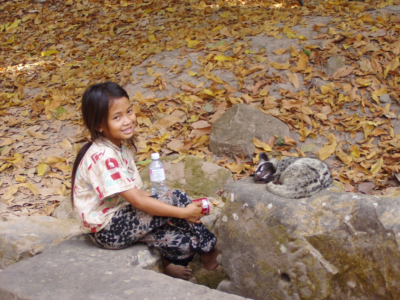 girl cambodia favorite animal free photo