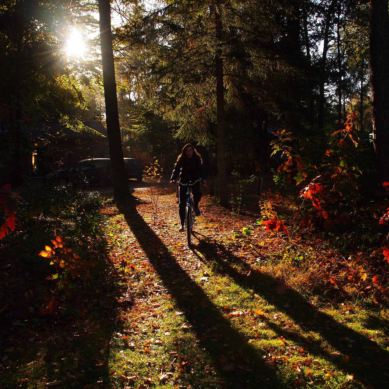 girl morning forest free photo