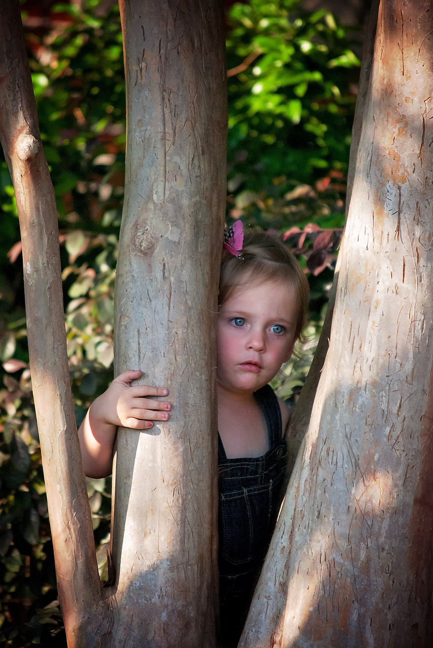 girl looking tree free photo